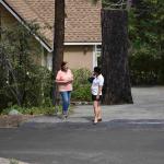 DSC_0181_01 (August 15, 2020)